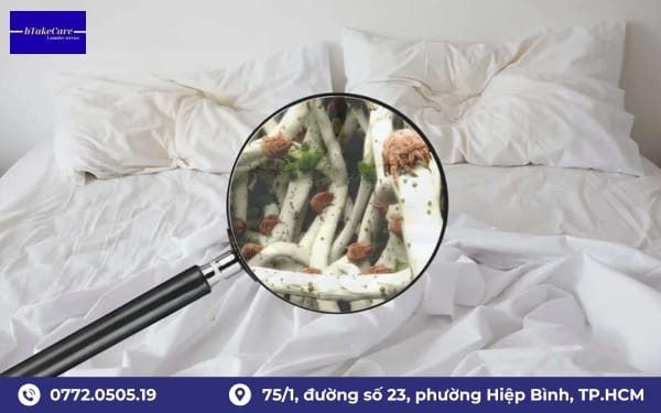 Hướng dẫn cách tẩy vỏ gối bị mốc tại nhà