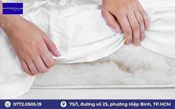 Nguyên nhân gây ra tình trạng vỏ gối bị mốc